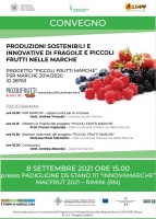 Produzioni Sostenibili e Innovative di Fragole e Piccoli Frutti nelle Marche