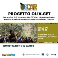 Progetto Oliv – GET G.O. OSCAR - Dimostrazione i campo