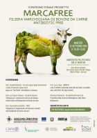 Marcafree filiera marchigiana di bovini da carne antibiotic free