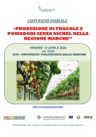 Produzione di fragole e pomodori senza nichel nella regione Marche