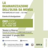La deamarizzazione dell’oliva da mensa - Oroverde
