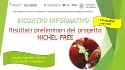 Risultati preliminari del progetto Nichel free