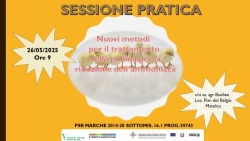 Nuovi metodi per il trattamento della pollina per la riduzione dell’ammoniaca