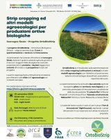 Strip cropping ed altri modelli agroecologici per produzioni ortive biologiche