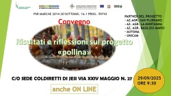 Risultati e riflessioni sul progetto Pollina