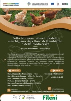 Pollo biorigenerativo: il modello marchigiano rispettoso dell’ambiente e della biodiversità