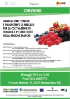 Innovazioni tecniche e prospettive di mercato per la coltivazione di fragole e piccoli frutti nella regione Marche