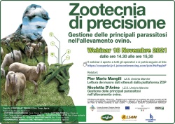 Zootecnia di precisione - Gestione delle principali parassitosi nell'allevamento ovino